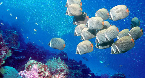 杭州乐园门票多少钱_杭州乐园门票价格_杭州