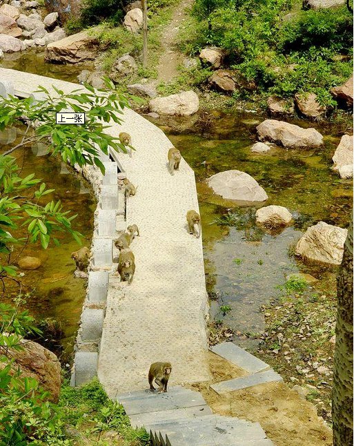 环翠峪风景区门票