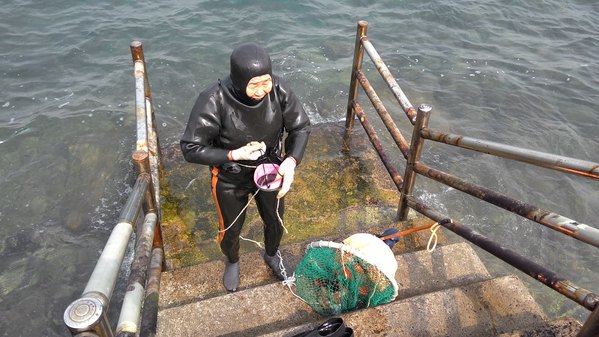 白本护照的济州岛深度自由行(第一次出国、目