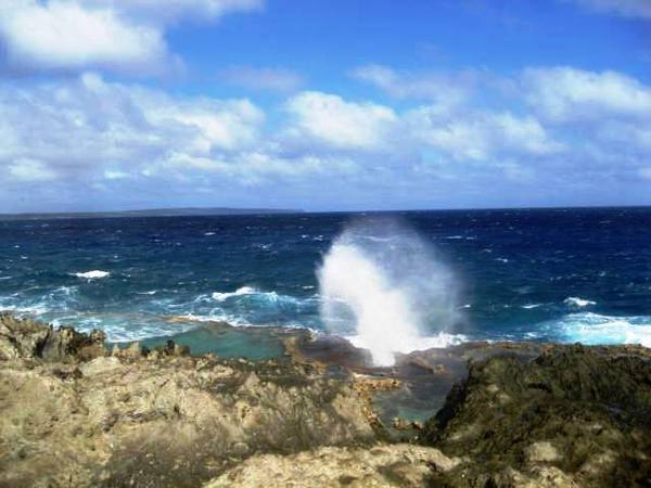 下个星期去天宁、塞班岛,住在天宁皇朝酒店.不