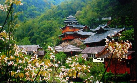 紫阳宫
