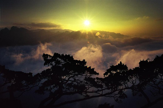 我是新注册携程旅行网的会员,请教我怎么预定