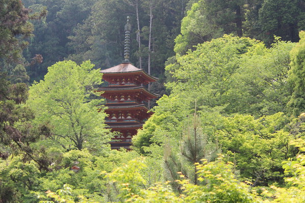 奈良,京都交通咨询