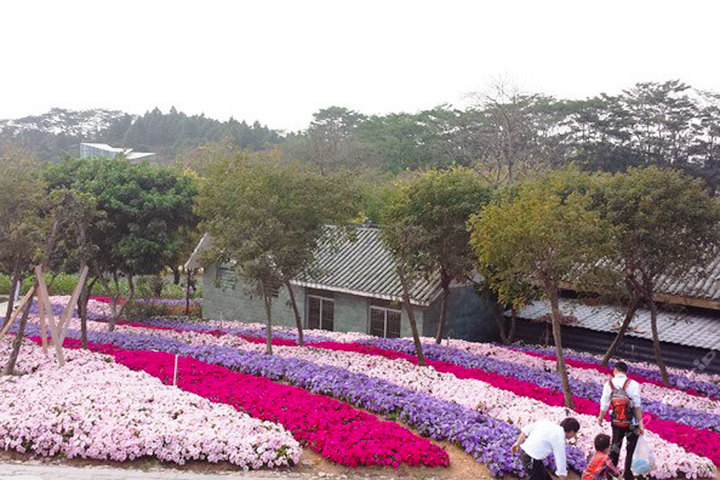 东莞松山湖公园(梦幻百花洲门票 美食)