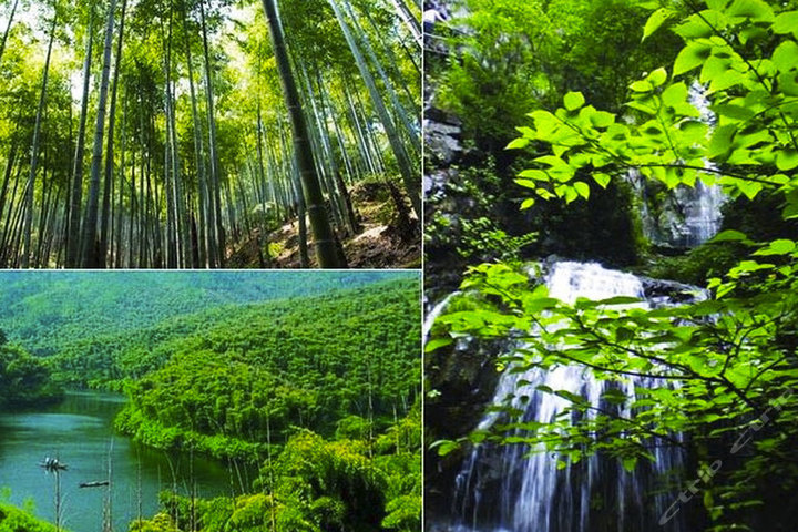 安吉江南天池度假村(标准间平日套餐)团购-安吉酒店团购-【携程团购】