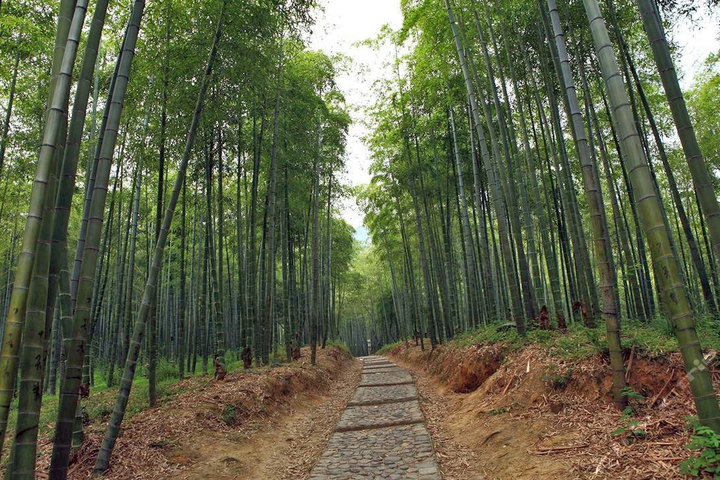 安吉天下银坑风景区(电子票1张)团购-安吉景点门票团购-【携程团购】