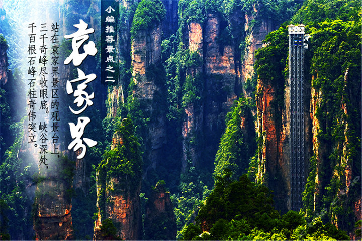 żҽ羰