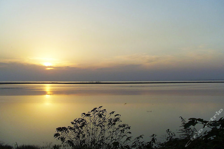 岳阳楼、君山岛一日游(门票+交通)团购-长沙酒店团购-【携程团购】