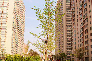 <b>【华阳路】</b>尊享<b>锐城公寓（济南洪楼店）豪华大床房</b>1晚＋