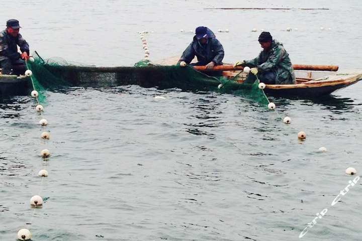 青岛黄岛区宝山镇林子村水库-蓝莓采摘门票团