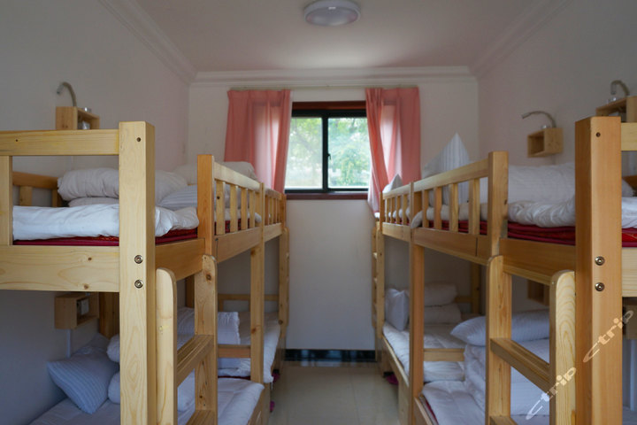 【莲湖区北院门】尊享西安<em>撒哈拉</em>青年客栈普通