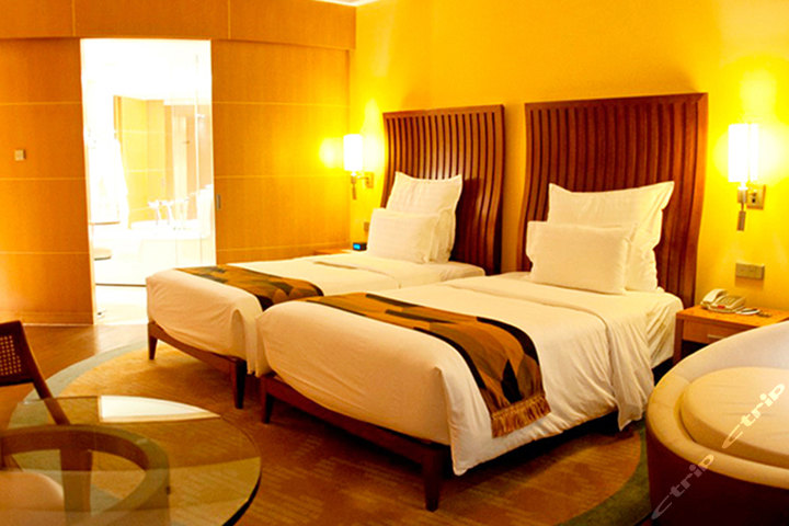 上海世茂佘山艾美酒店-高级房+门票2选1-上海