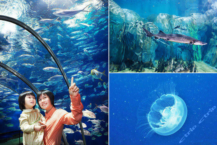 上海海洋水族馆