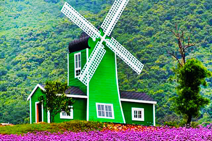 大连东方普罗旺斯熏衣草庄园(门票)-大连酒店旅