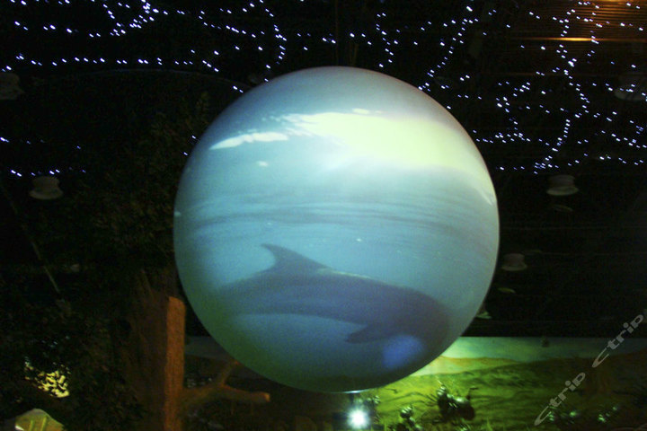 科技馆套票(主展厅+儿童乐园+4D电影票)团购