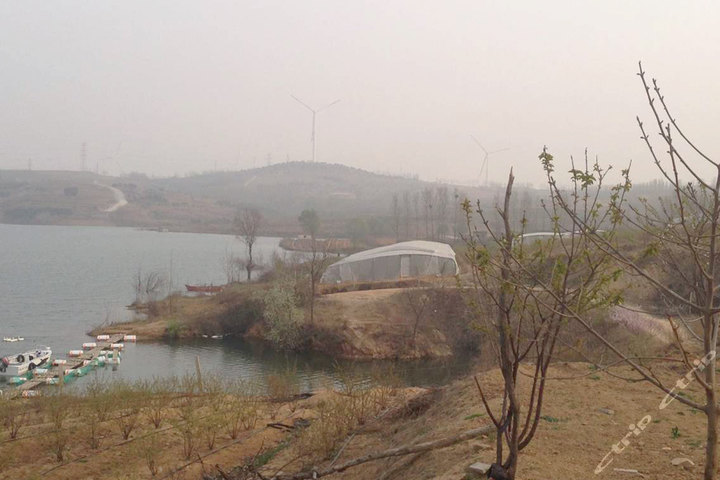 青岛黄岛区宝山镇林子村水库-蓝莓采摘门票团
