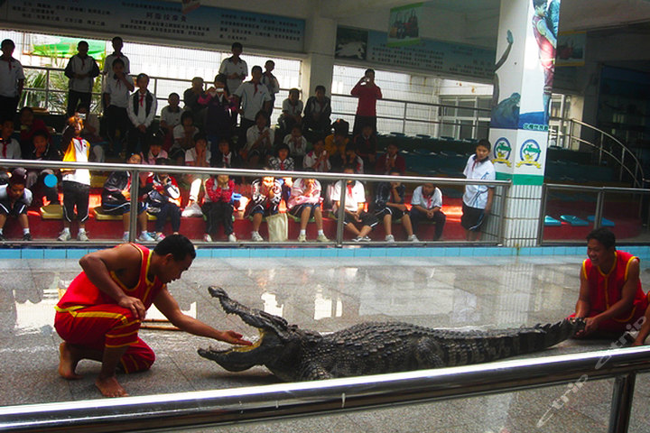 厦门集美南顺鳄鱼园(电子门票)团购-酒店团购