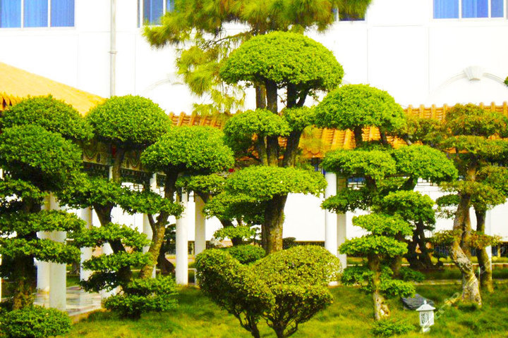 武汉中南花园饭店(南苑楼豪华标间)-武汉旅游酒店团购-团购王武汉站