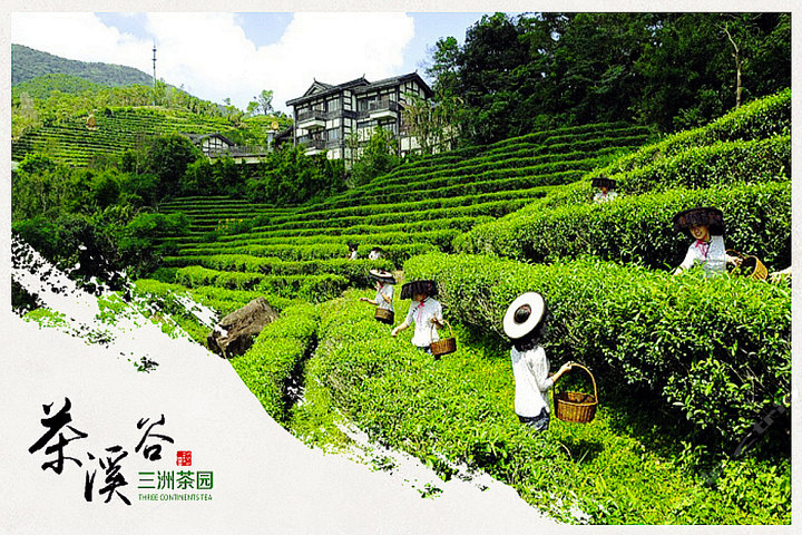 深圳大梅沙芭堤雅(高级标房+华侨城套票)团购