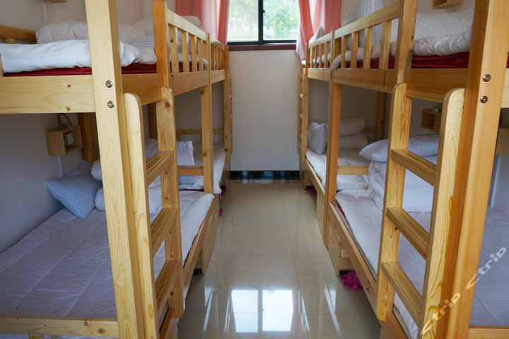 【莲湖区北院门】尊享西安<em>撒哈拉</em>青年客栈普通