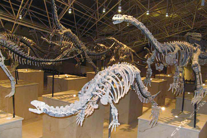 世界恐龙谷纯玩一日游-成人团购-昆明酒店团购-【携程团购】