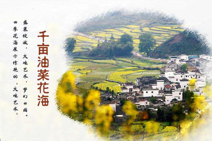 Դ羰Ƶ(׼ 뾰Ʊ)