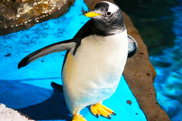 青岛火车站、栈桥区附近酒店团购-超值酒店团