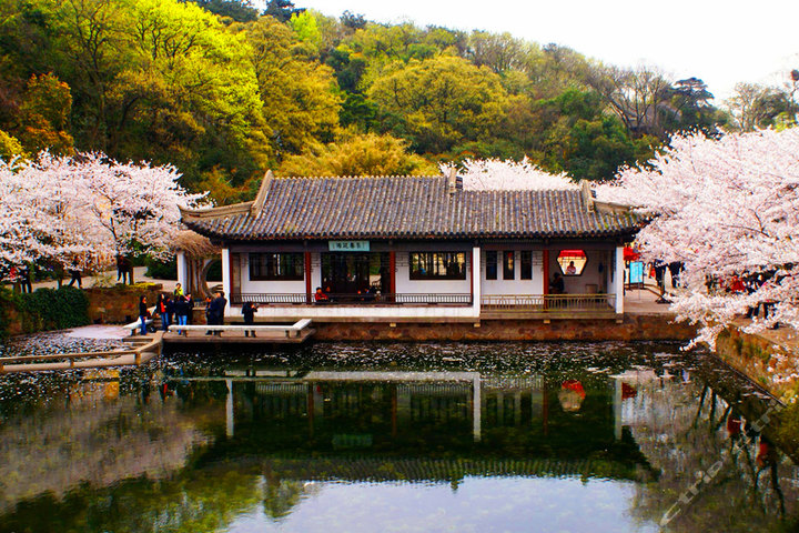 无锡太湖能园度假村―外观 鼋头渚景区 鼋头渚景区 鼋头渚景区