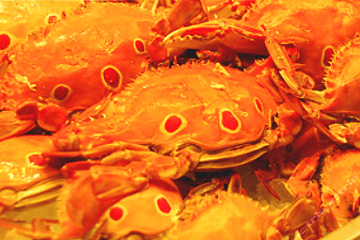 深圳友和国际唐拉雅秀酒店(单人自助晚餐)团购