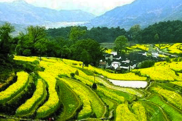 江西婺源风景区