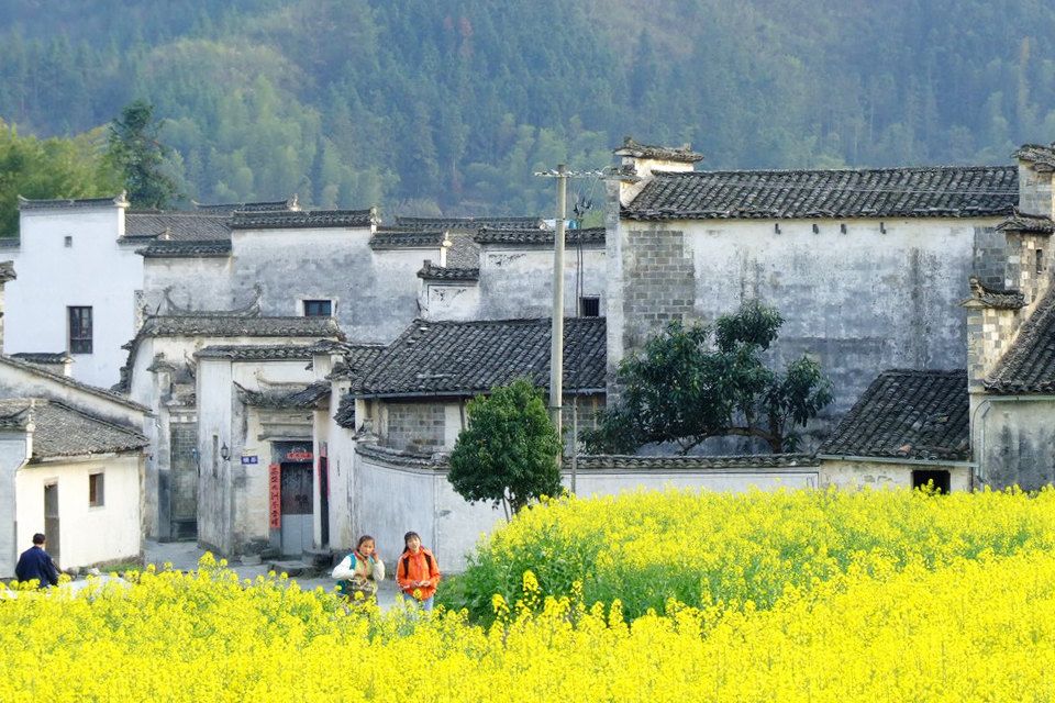 西递景区