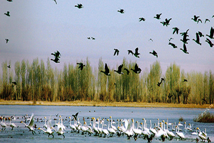 泰山宝泰隆地下大裂谷(门票)团购-泰安景点门票