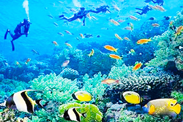 三亚豪华游艇钓鱼潜水烧烤户外游-船票1张-三亚团购-团购王三亚站