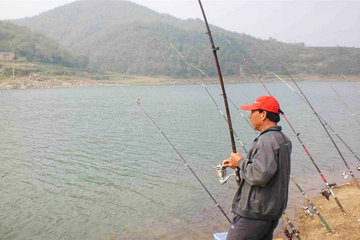 黄岛区 黄岛其他 旅游住宿 景点公园 黄岛区宝山镇林子村水库团购精选
