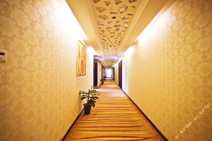 权金城金沙国际会所北京丰益桥-豪华客房