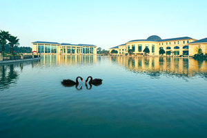 重庆酒店住宿 自助餐团购,重庆酒店住宿 自助餐