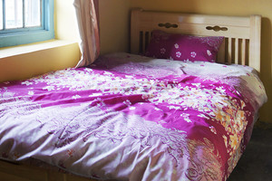 【地道藏式风情 近布达拉宫】尊享拉萨龙川花