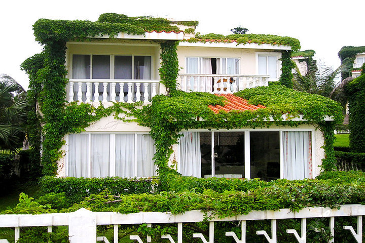 惠州大亚湾三角洲岛俱乐部 团购 - 京东团购惠