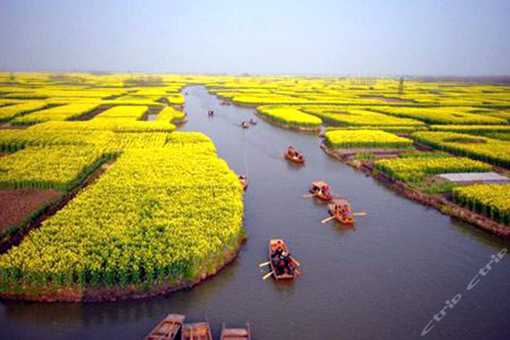 【江苏中部】尊享泰州溱湖湿地公园门票1张!溱