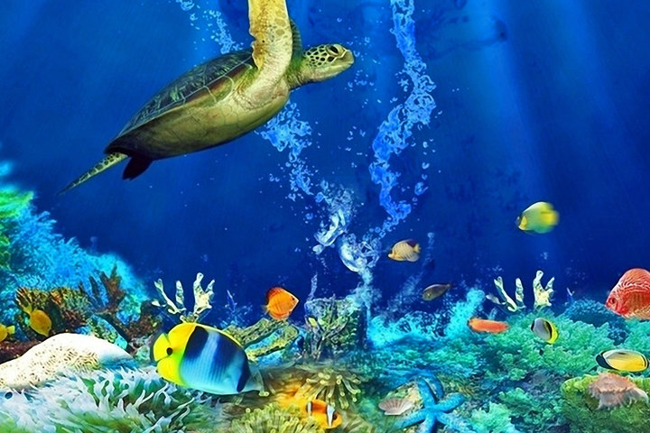 武汉东湖海洋世界