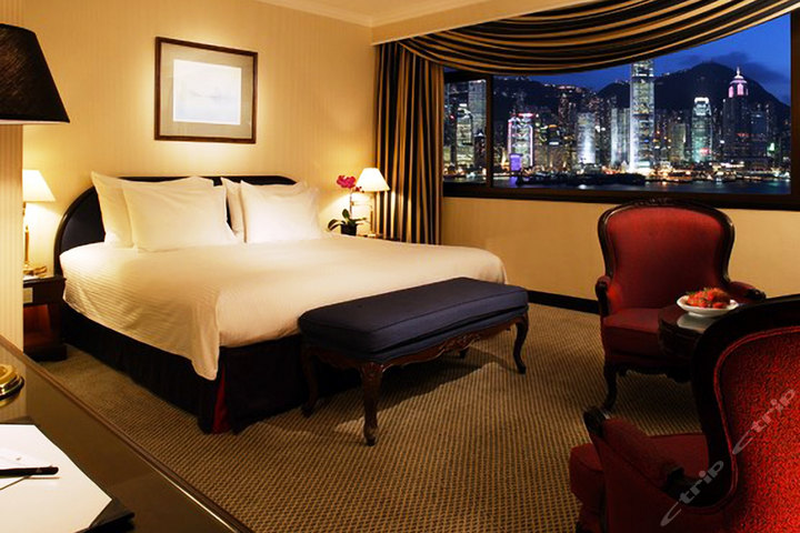 香港海港城五星酒店4店通用(标准房)团购-酒店