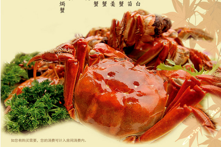 上海中航虹桥机场泊悦酒店(飞行房)团购-上海酒