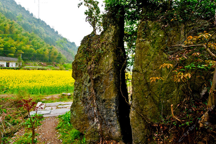 黟县打鼓岭景区门票(成人票1张)