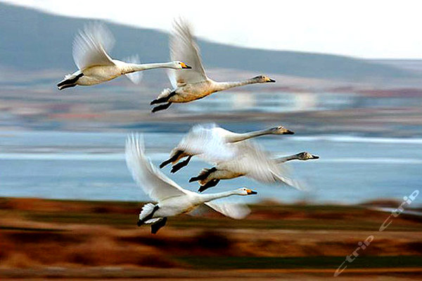 泰安泰山宝泰隆地下大裂谷(观光门票2张)团购