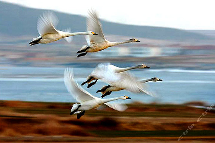 泰山宝泰隆地下大裂谷(门票)团购-泰安景点门票