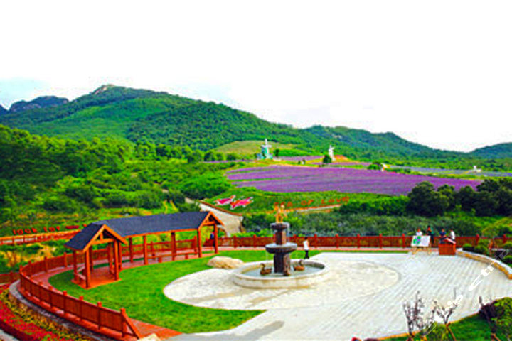 大连东方普罗旺斯熏衣草庄园(门票)-大连酒店旅