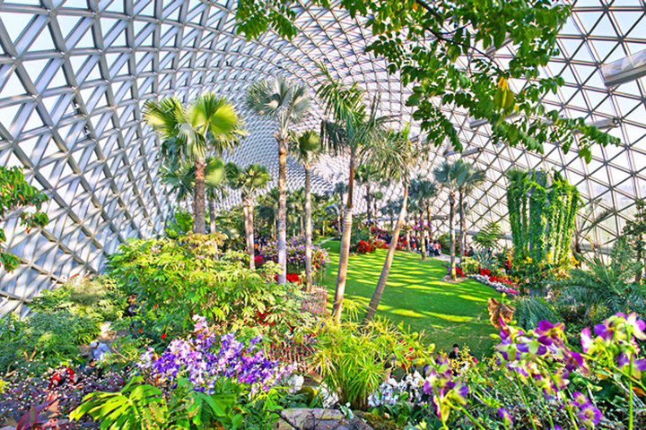 上海辰山植物园(国际兰花展电子门票2张)