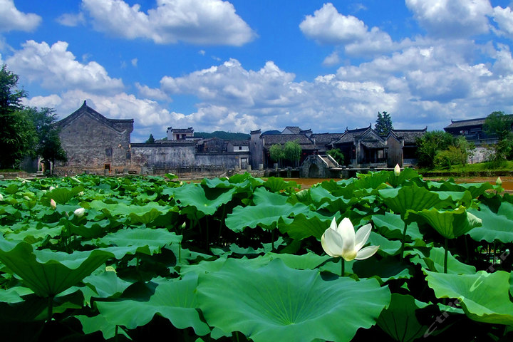 黄山呈坎景区门票1张团购-黄山景点门票团购