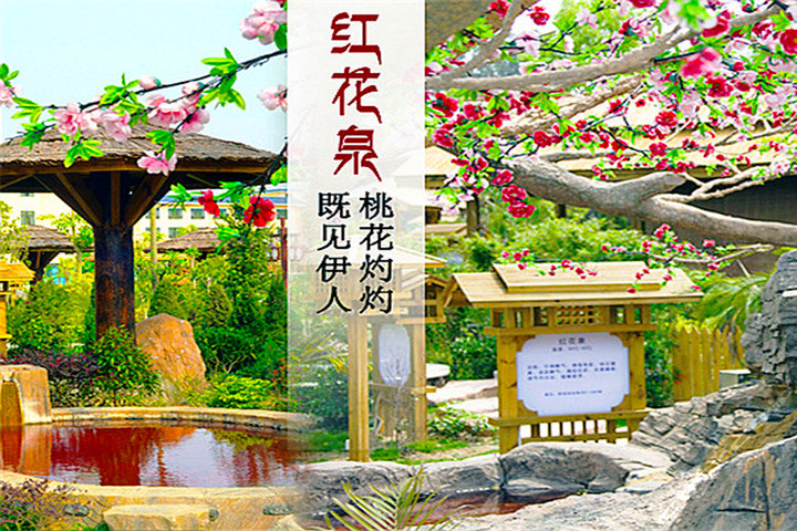 河源叶园温泉度假酒店(豪华房-温泉)