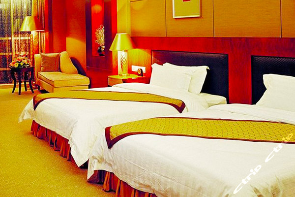 金湖商务酒店(深圳龙华汽车站店-3房型)团购-原